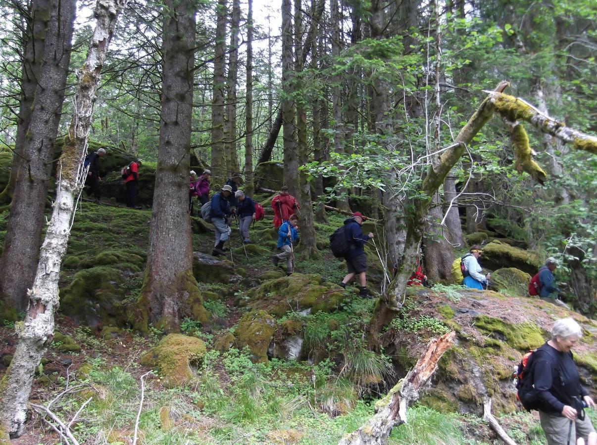 Hardanger Basecamp Hostel Osa Екстериор снимка